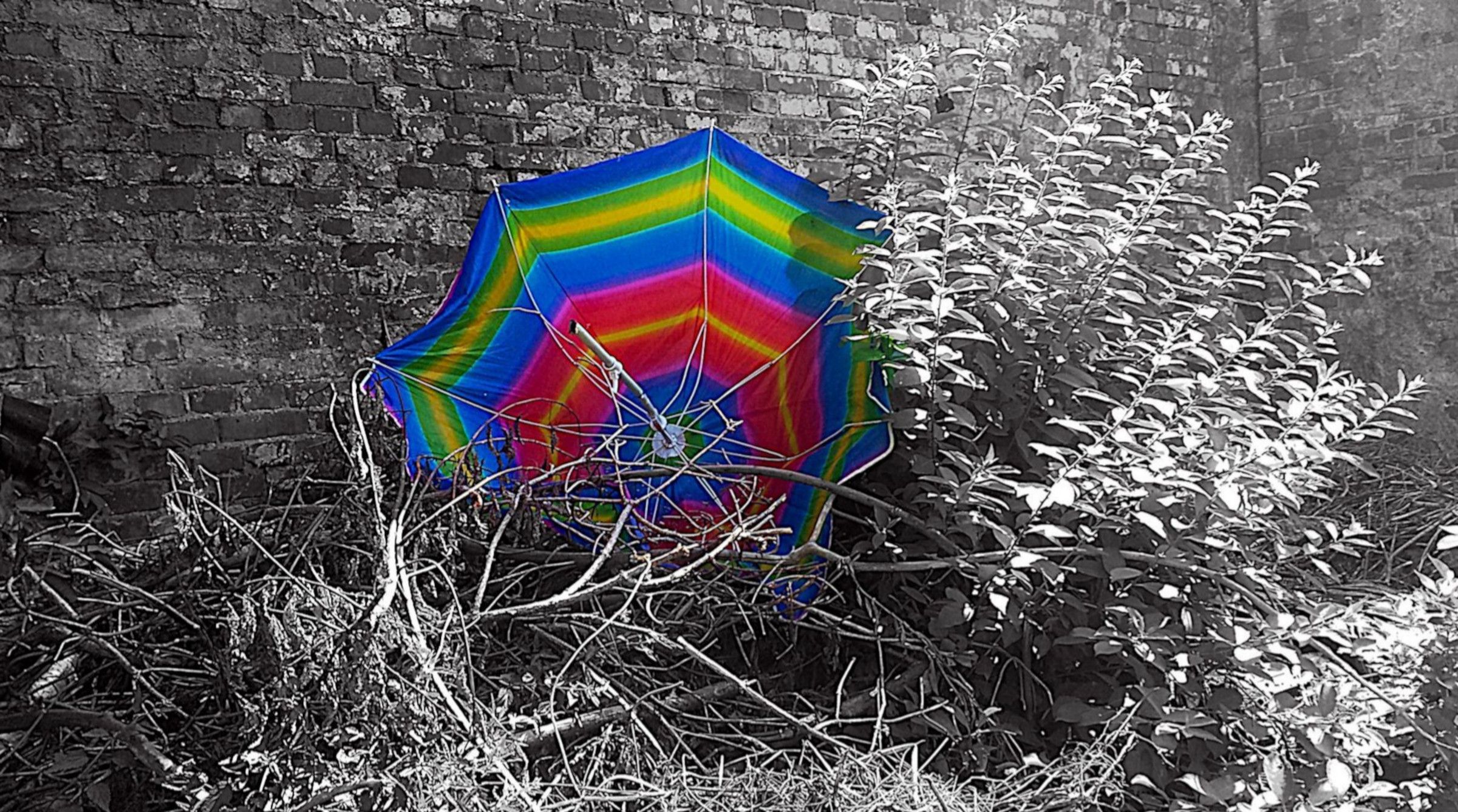 parasol tęcza
